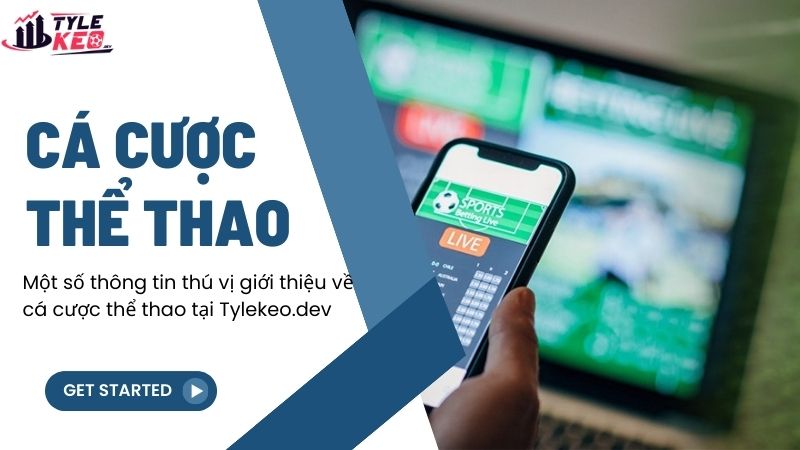 Một số thông tin thú vị giới thiệu về cá cược thể thao tại novteh.co